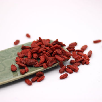 EU834-1007 USNOP Organic Red dry goji berry Chinese wolfberry with high quality dry goji berry